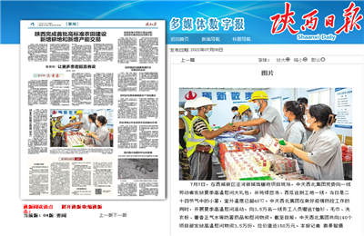 PA视讯西北集团珑樾府项目高温慰问——《陕西日报》